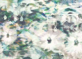 Фото - Обои Black Edition Kansai Wallcoverings - 321016>