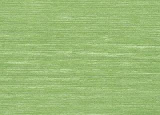 Фото - Обои Thibaut Summer House - 339858>