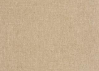 Фото - Обои Caselio La Foret - 522329>