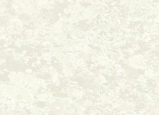 Фото - Обои Mayflower by Kt Exclusive Transition - 436532>