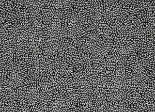 Фото - Ткани James Hare Corolla - 286887>