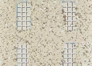 Фото - Обои Pierre Frey The Cult of Beauty - 537678>