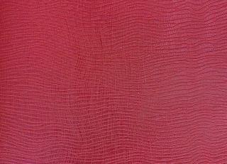 Фото - Обои Epoca Wallcoverings Amazon River - 551575>