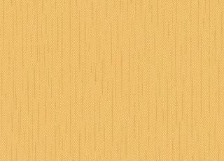 Фото - Обои Shinhan Focus - 554889>