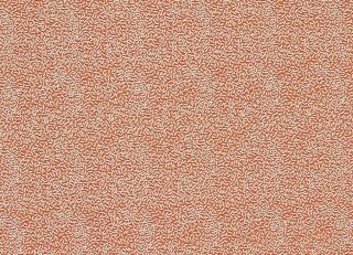 Фото - Ткани Harlequin Colour 4 Fabrics - 566946>