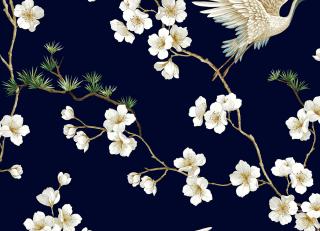 Фото - Обои Carl Robinson Edition 19 - 608309>