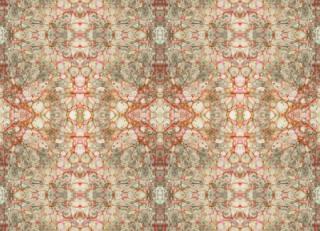 Фото - Ткани Susi Bellamy - 381374>