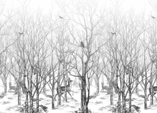 Фото - Обои Isidore Leroy Naturels - 466400>