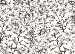 Фото - Обои Caselio Nos Gravures - 522404>