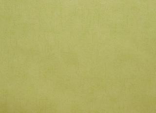 Фото - Обои Caselio Curiosity - 223623>