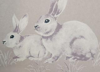 Фото - Обои Milassa Twins - 329055>