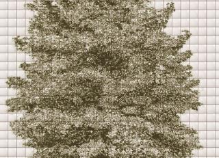 Фото - Обои Wall&Deco CODE 2014 OUT SYSTEM - 463859>