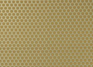 Фото - Ткани Clarke&Clarke Imperiale - 403617>