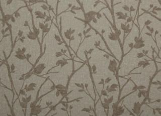 Фото - Обои Zimmer + Rohde Identity - 351086>