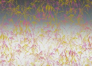 Фото - Ткани Harlequin Lilaea Fabrics - 361431>