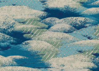 Фото - Ткани Pepe Penalver Tokyo - 629167>