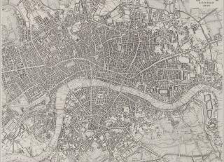 Фото - Обои Zoffany Phaedra - 313240>