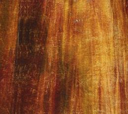 Фото - Ткани Henry Bertrand Velvet Brunito - 402812>