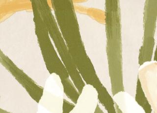 Фото - Обои Elitis Flower power - 469373>