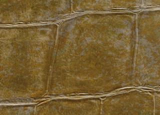 Фото - Обои Elitis Anguille Big croco Legend - 469475>