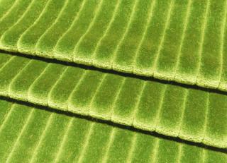 Фото - Ткани Gancedo Poseidon - 491881>