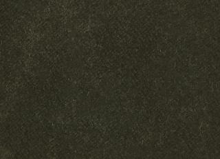 Фото - Ткани Dedar Sunday - 467909>