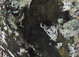 Фото - Обои Pierre Frey Galerie 4 - 608964>