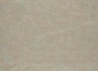 Фото - Ткани Designers Guild Arizona - 281950>