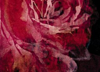 Фото - Ткани Rubelli Mirafiore - 492556>