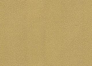 Фото - Обои Roberto Cavalli No.8 - 540529>