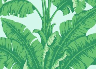 Фото - Обои Nobilis Cosmopolitan 3 - 409843>