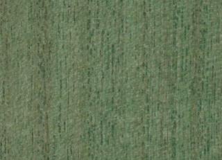 Фото - Обои Yana Svetlova Paulownia - 572468>