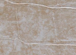 Фото - Обои Elitis Anguille Big croco Legend - 469474>