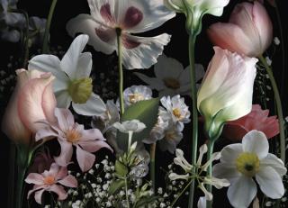 Фото - Обои Ortograf Flower dreams - 476762>