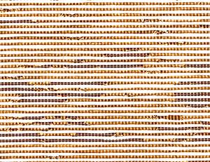 Фото - Обои Elitis Equateur - 340498>