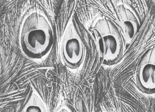 Фото - Обои Aura Manor House - 391191>