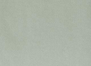 Фото - Ткани Foresti Home Collection Velluto di cotone Zeus - 563400>