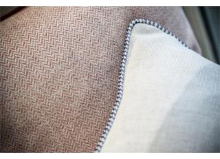 Фото - Ткани Brochier Sole - 414536>