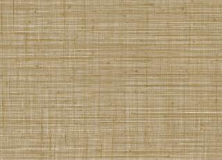 Фото - Обои Jannelli & Volpi JV800 Tierra - 546673>