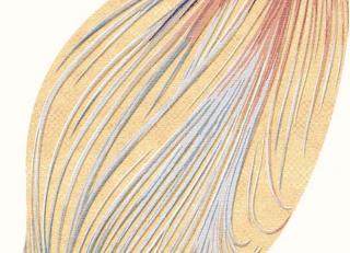 Фото - Ковры Tapis Rouge Elettrico - 590035>