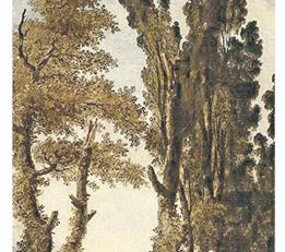 Фото - Обои Sangiorgio Arte de gli Affreschi - 254760>