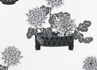 Фото - Обои Equipo DRT Encadenados - 559335>