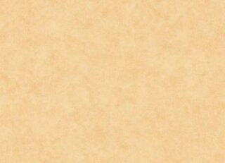 Фото - Обои Caselio Beton 2 - 631910>