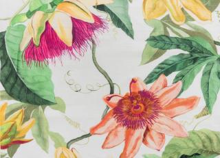 Фото - Ткани Titley and Marr Passion Flower and Garden Stripe - 389785>