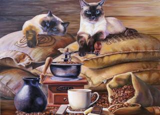 Фото - Обои Ortograf Елена Самарская - 479074>