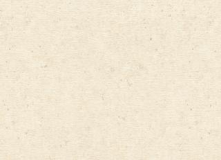 Фото - Обои Rasch Textil Trend - 629722>