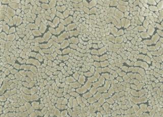 Фото - Ткани Nina Campbell Cathay Weaves - 260591>