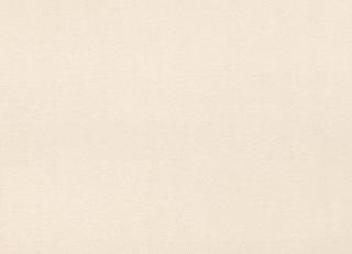 Фото - Ткани Villa Nova Kasian - 487525>