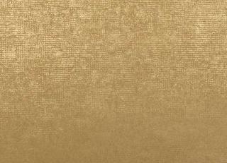 Фото - Обои Omexco Nomad - 229850>