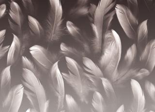 Фото - Обои Ortograf Levity - 477110>